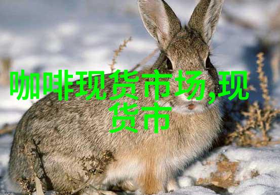 现货市场越南台风对咖啡产量造成破坏印度尼西亚采摘已经结束