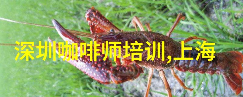印度最大咖啡产区预计减产15