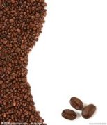 阿拉比卡咖啡豆 中国咖啡种植情况