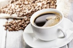 咖啡沙龙论坛 - 咖啡论坛网